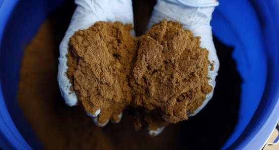 4 people arrested with 15-kg hashish in Jammu
